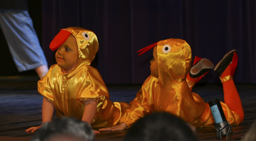 27.1.2008: Damen- und Herrnsitzung der 1. Griesheimer Carneval Gesellschaft